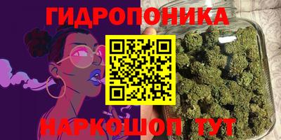 прущая мука Гусев