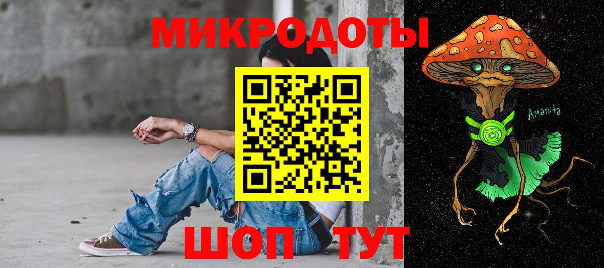 Псилоцибиновые грибы прущие грибы Чехов