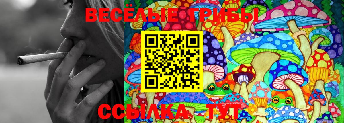 Галлюциногенные грибы Psilocybine cubensis  Вход с VPN  Галлюциногенные грибы ЛСД  Чехов 